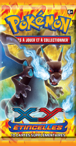 Portfolio Pokémon + Booster Royaume De Glace – Neuf Sous Blister – Collection Carte à Jouer