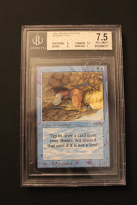 SINDBAD beckett 7,5