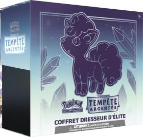 Coffret Dresseur d'élite Tempête Argentée